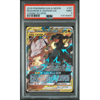 PSA9 チコリータ e1 エディションなし アンリミ版 005/029 鑑定品 PSA9鑑定済〕チコリータ【P】{005/L-P}