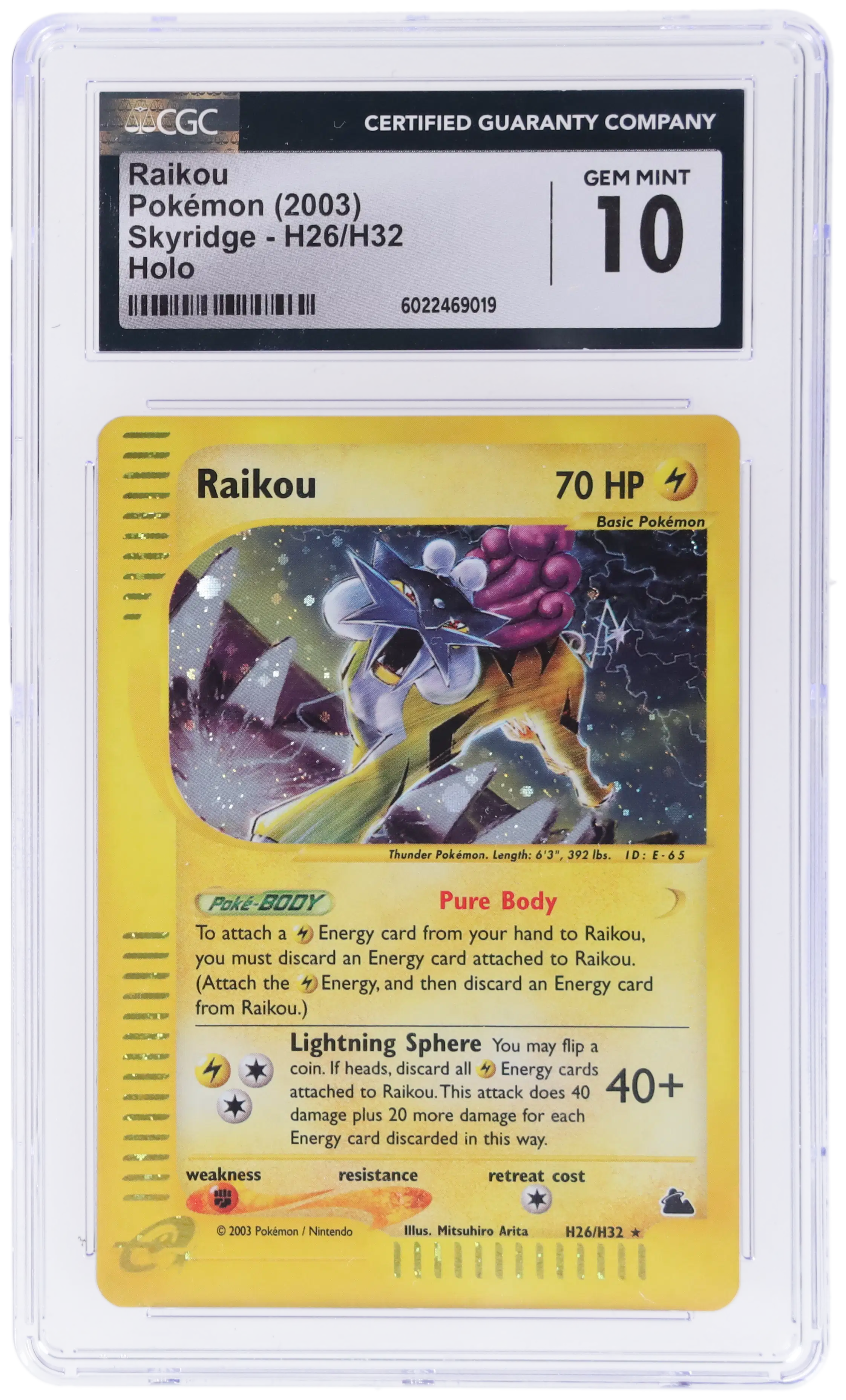 holographic shadowless first edition venusaur card Holo de la coleccin Base Set 1999 style setup or your main portfolio SALE SPOTLIGHT: Featuring a