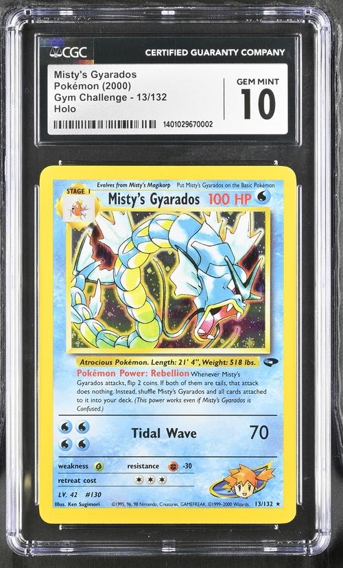 pokemon gym challenge cards Gym Challenge
